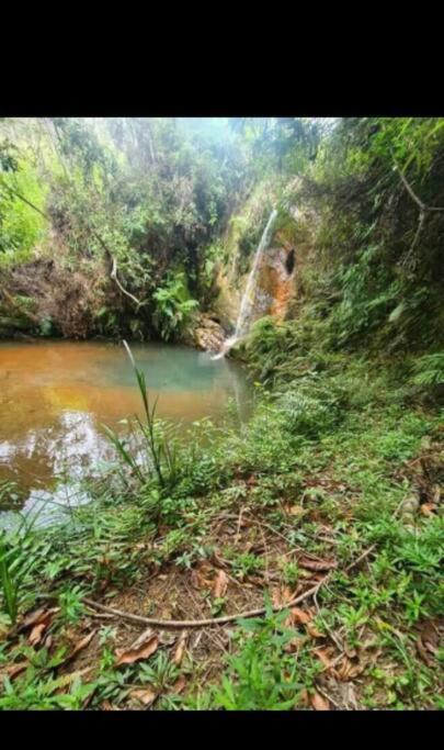 Chale Aconchegante Em Estancia Climatica Santo Antonio do Leite Exterior photo
